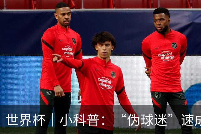 世界杯｜小科普：“伪球迷”速成手册
